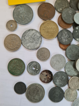Danska mynt